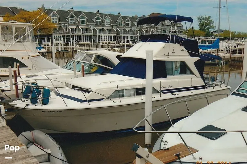 The Image of Chris-Craft Catalina 33 1979 - 16450307