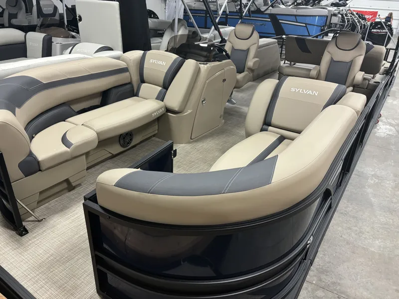 Slide: The Image of Sylvan L-5 2024 - 1