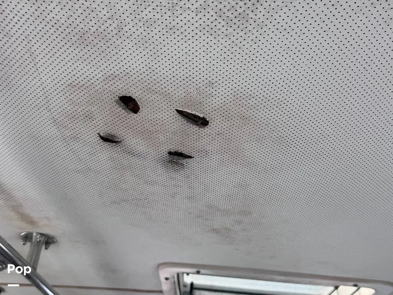 Slide: The Image of tears in ceiling - 16570961