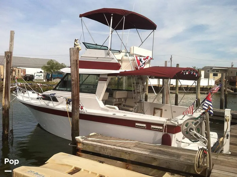 The Image of Baha Cruisers fAMILY FB 310 1989 - 16506532