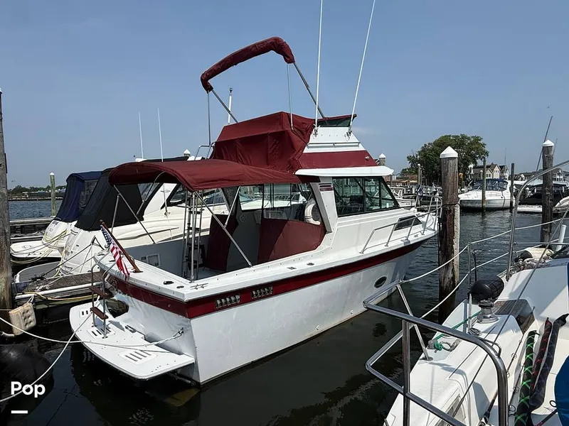 The Image of Baha Cruisers FAMILY FB 310 1989 - undefined