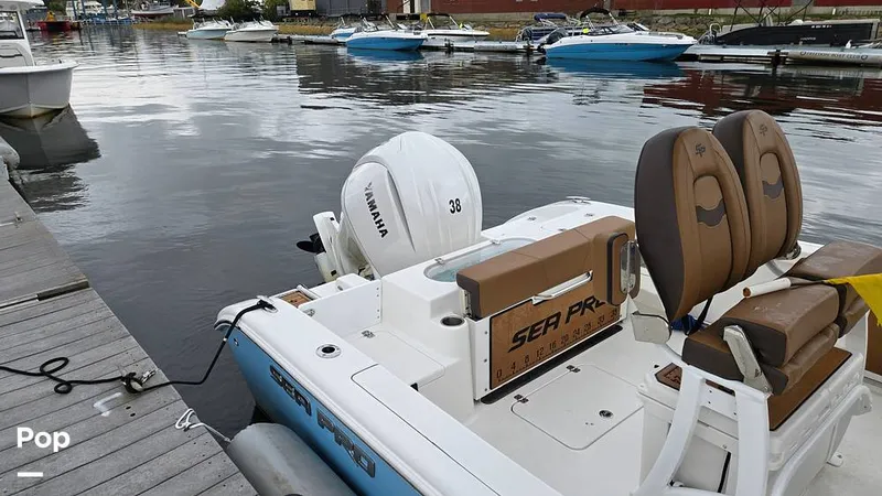 Slide: The Image of Sea Pro 242 2026 - 16806783