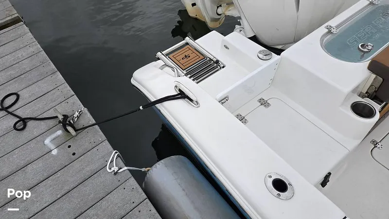 Slide: The Image of Sea Pro 242 2026 - 16806764