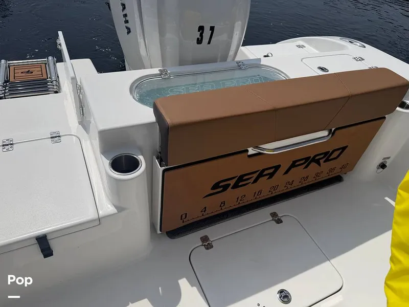 Slide: The Image of Sea Pro 242 2026 - 16484647