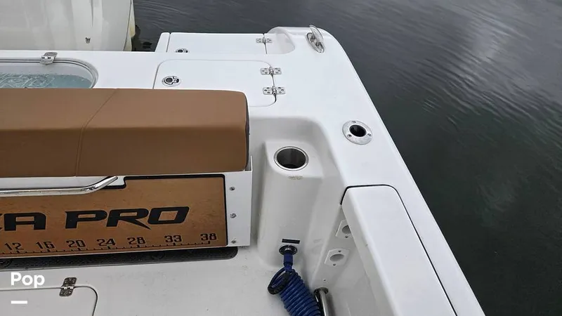 Slide: The Image of Sea Pro 242 2026 - 16806757