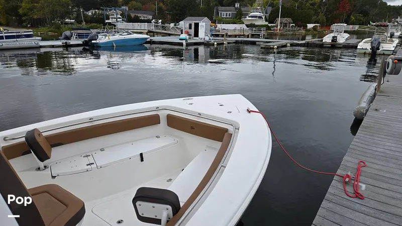 Slide: The Image of Sea Pro 242 2026 - 16806775