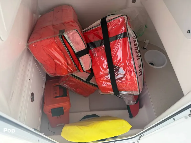 Slide: The Image of Sea Pro 242 2026 - 16484648