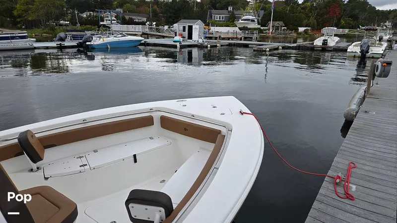 Slide: The Image of Sea Pro 242 2026 - 16806774