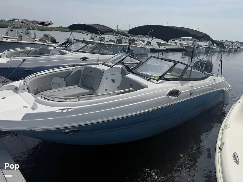 The Image of Stingray 231 DC 2026 - 16488782