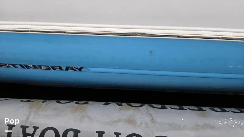 Slide: The Image of Stingray 231 DC 2026 - 16809246