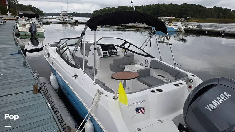 Slide: The Image of Stingray 231 DC 2026 - 16809241