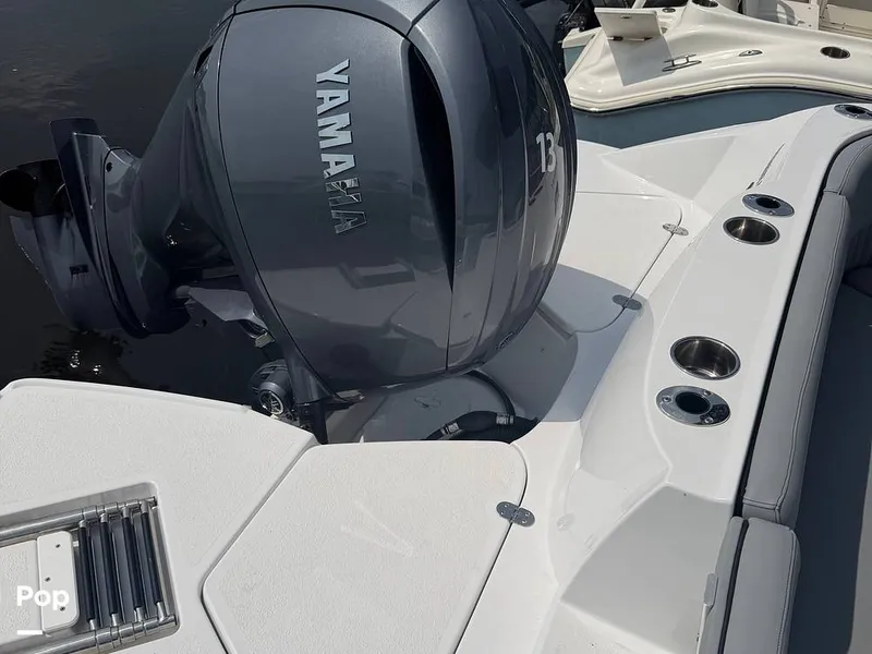 Slide: The Image of Stingray 231 DC 2026 - 16484110