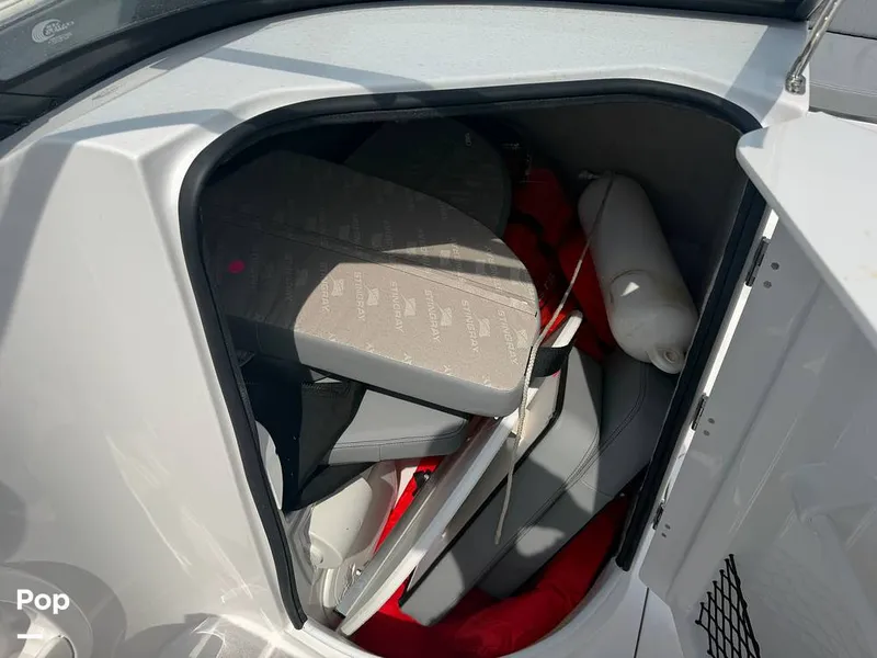 Slide: The Image of Stingray 231 DC 2026 - 16484112