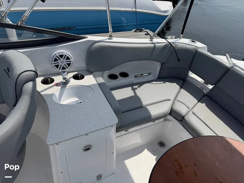 Slide: The Image of Stingray 231 DC 2026 - 16484113