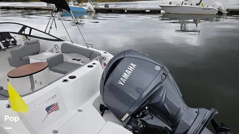 Slide: The Image of Stingray 231 DC 2026 - 16809231