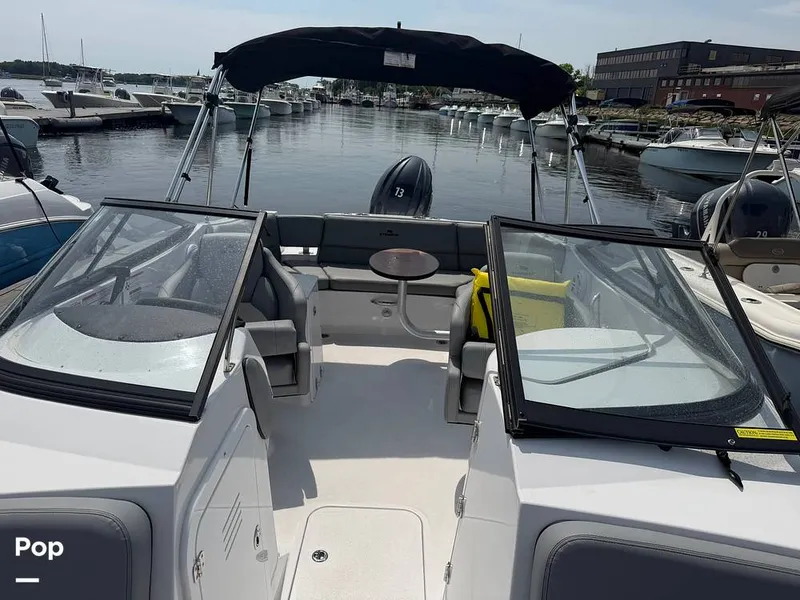 Slide: The Image of Stingray 231 DC 2026 - 16484099