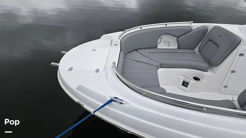Slide: The Image of Stingray 231 DC 2026 - 16809240