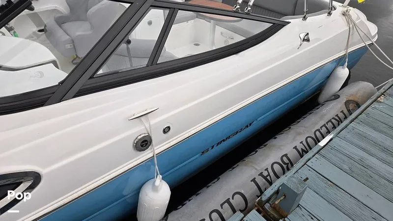 Slide: The Image of Stingray 231 DC 2026 - 16809237