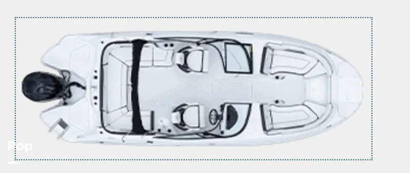 Slide: The Image of Stingray 231 DC 2026 - 16484759