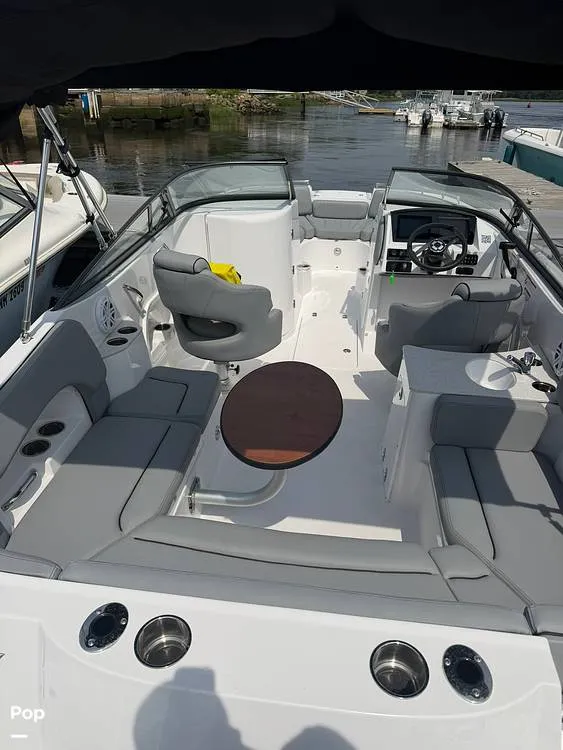 Slide: The Image of Stingray 231 DC 2026 - 16484095