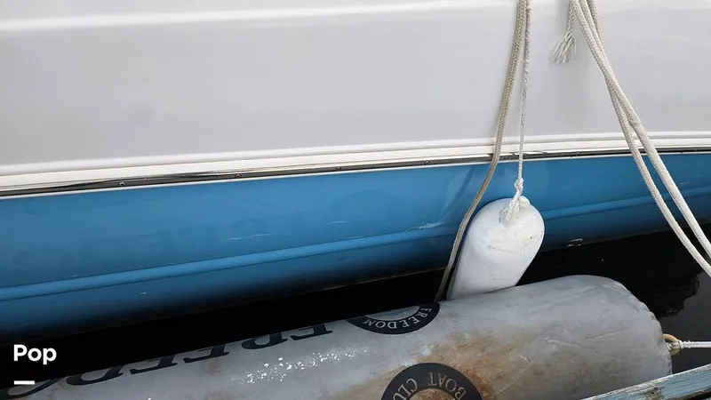 Slide: The Image of Stingray 231 DC 2026 - 16809245