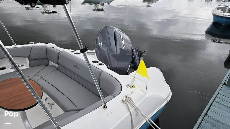 Slide: The Image of Stingray 231 DC 2026 - 16809242