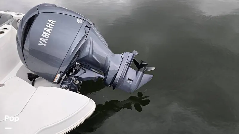Slide: The Image of Stingray 231 DC 2026 - 16809232