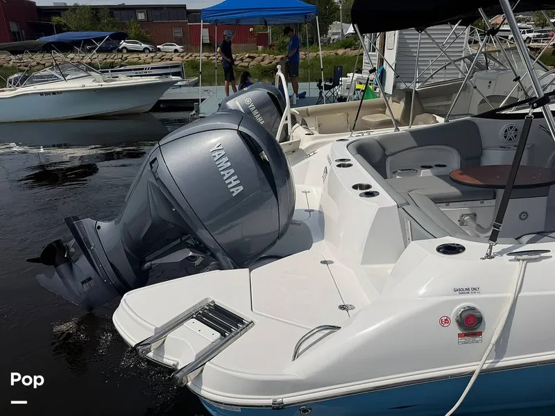 Slide: The Image of Stingray 231 DC 2026 - 16484106