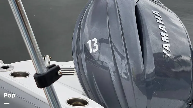 Slide: The Image of Stingray 231 DC 2026 - 16809243