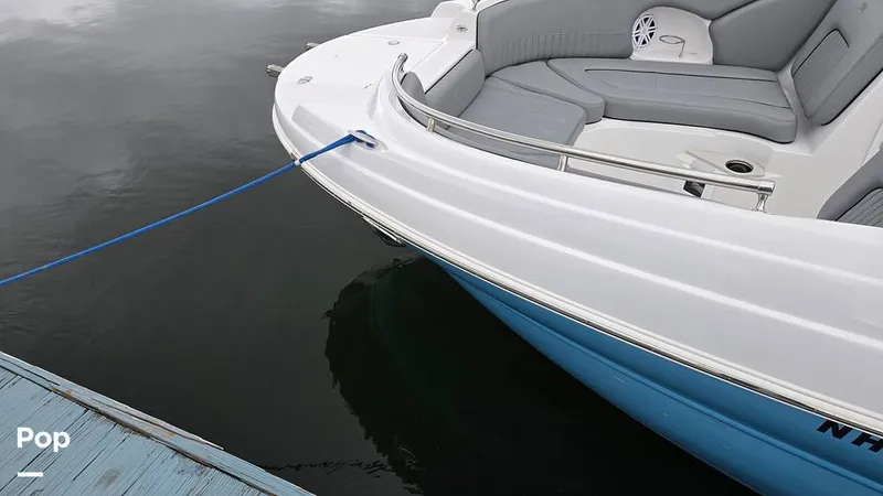 Slide: The Image of Stingray 231 DC 2026 - 16809238