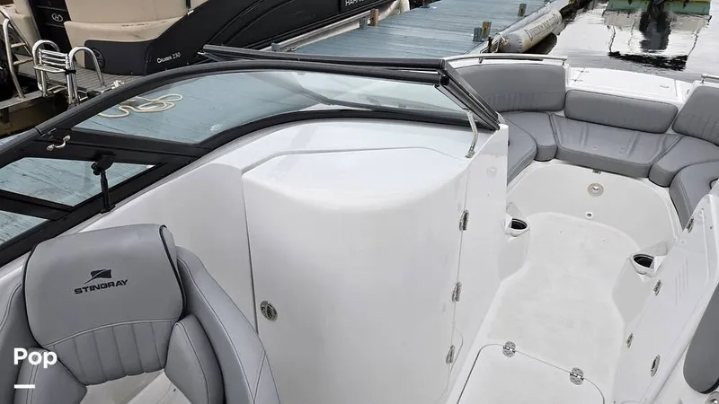 Slide: The Image of Stingray 231 DC 2026 - 16809216