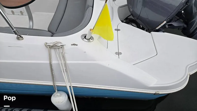 Slide: The Image of Stingray 231 DC 2026 - 16809235