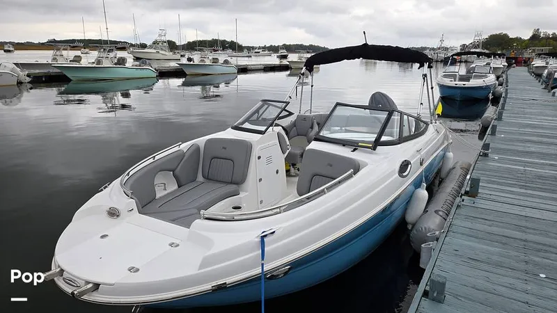 Slide: The Image of Stingray 231 DC 2026 - 16809239