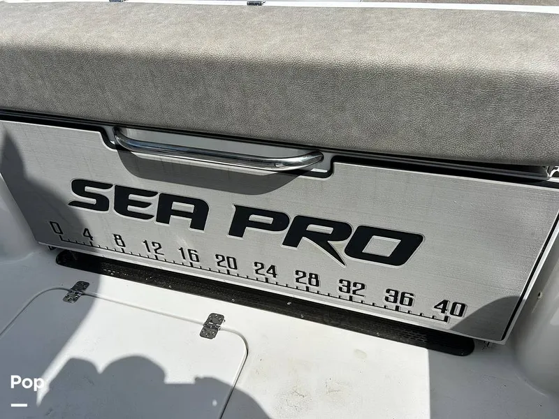 Slide: The Image of Sea Pro 239 Deluxe 2023 - 16575036