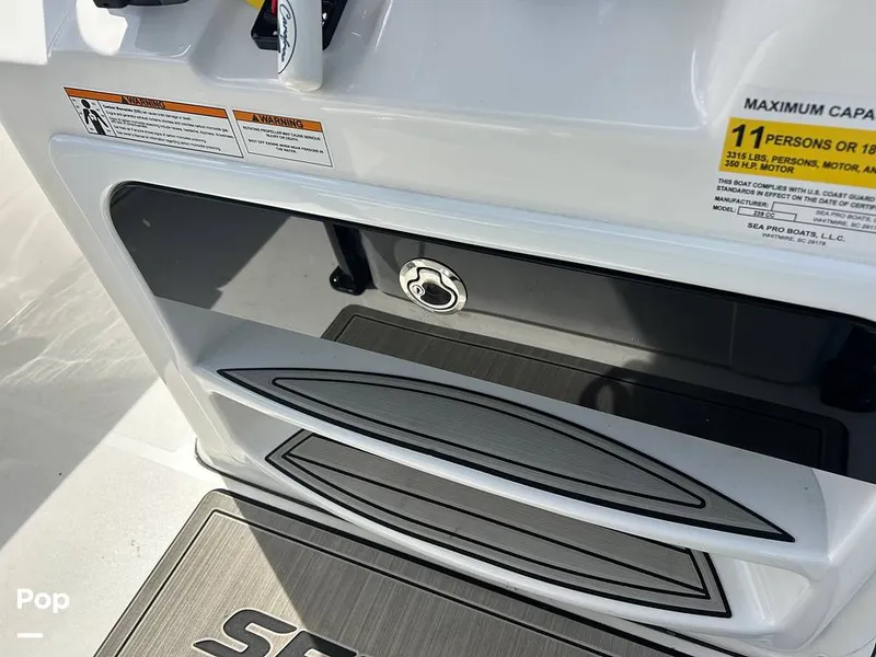 Slide: The Image of Sea Pro 239 Deluxe 2023 - 16575016