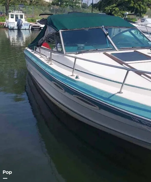 Slide: The Image of Sea Ray 230 1988 - 16485772