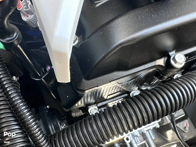 Slide: The Image of Yamaha 252 FSH Sport 2025 - 16531149