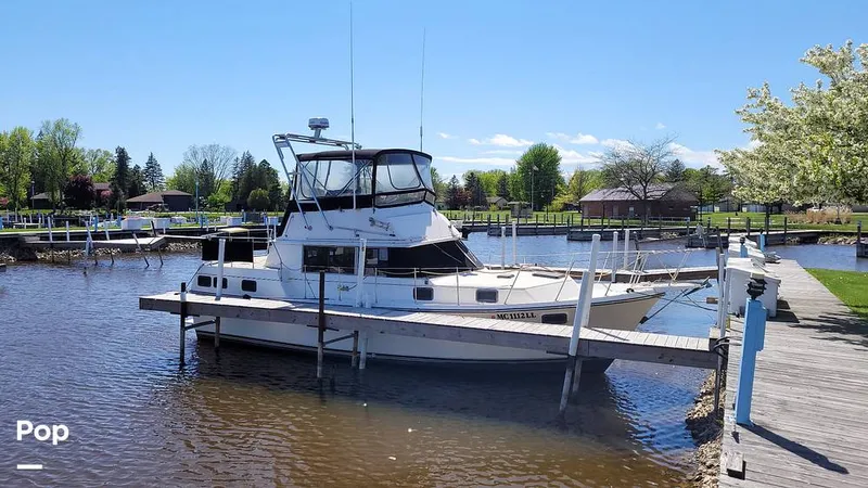 The Image of Carver Yachts 3607 Aft Cabin 1982 - 16511811
