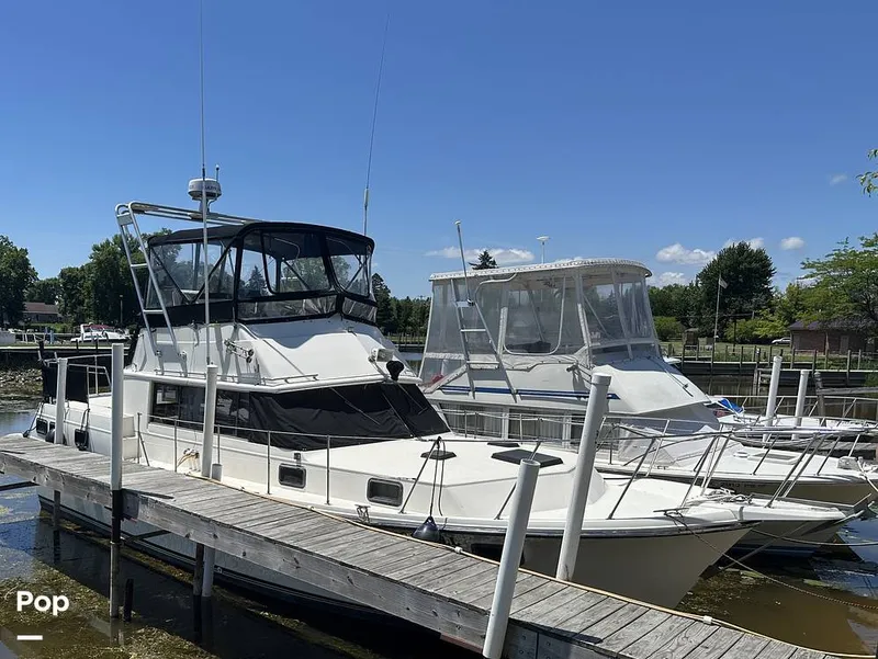 The Image of Carver Yachts 3607 Aft Cabin 1982 - 16539556