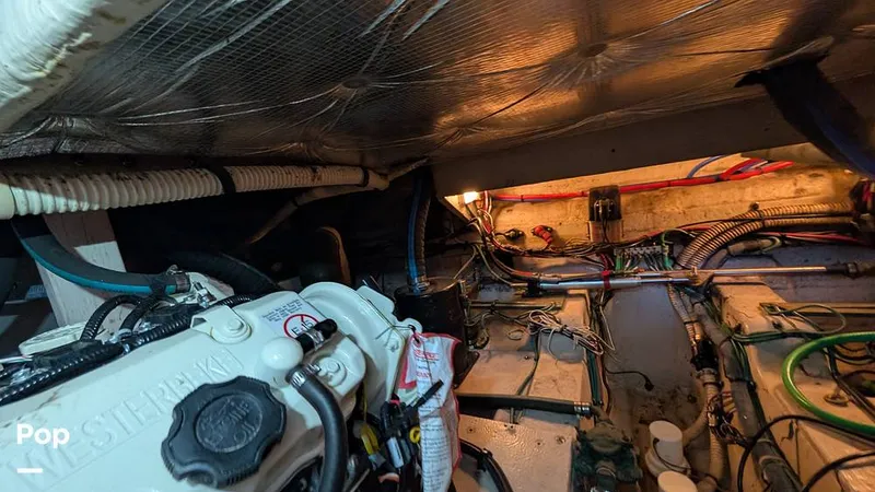 Slide: The Image of Sea Ray 36 Sedan Bridge 2007 - 16545874