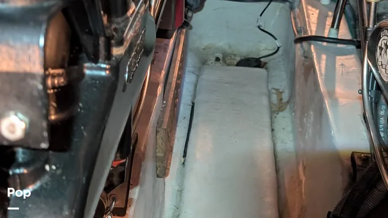 Slide: The Image of Sea Ray 36 Sedan Bridge 2007 - 16545826