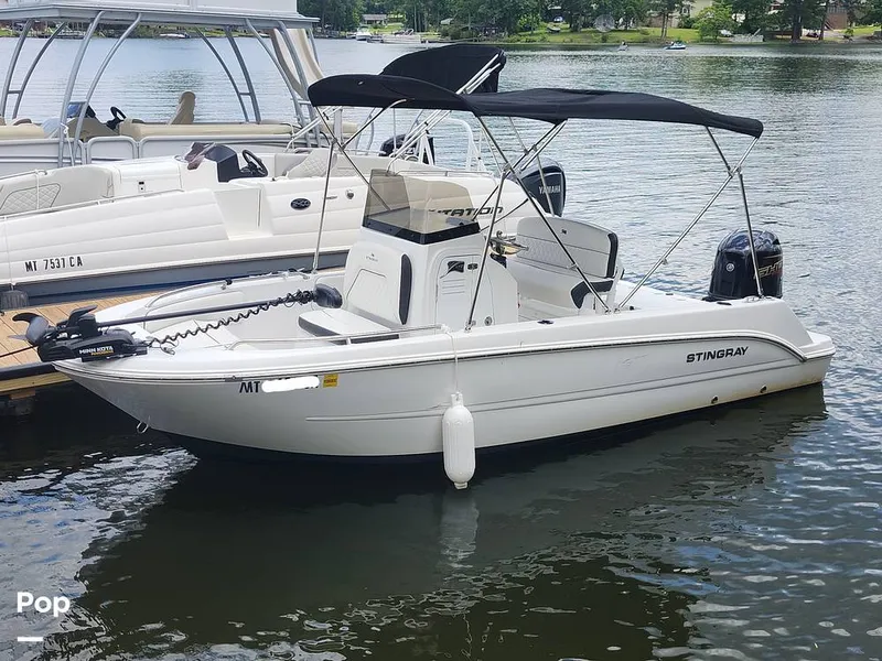 The Image of Stingray 173 CC 2025 - 16516179