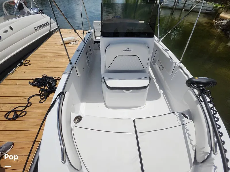 Slide: The Image of Stingray 173 CC 2025 - 16516145