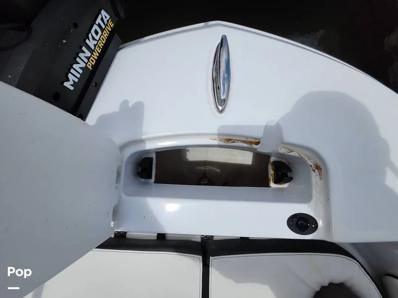 Slide: The Image of Stingray 173 CC 2025 - 16516169