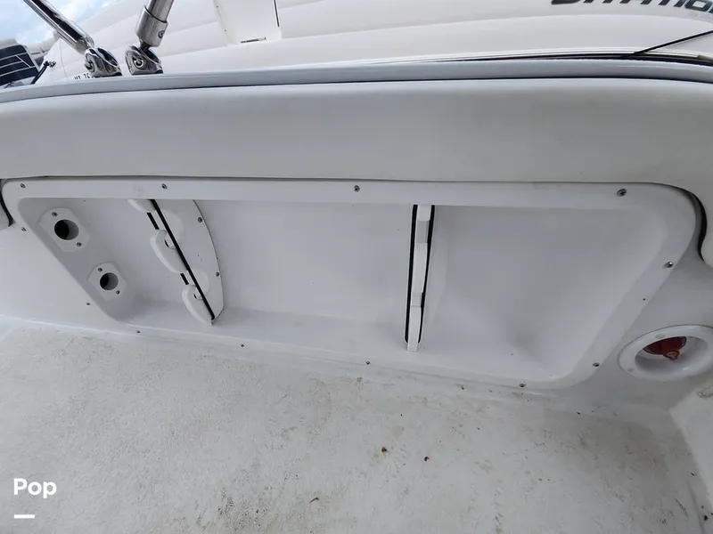 Slide: The Image of Stingray 173 CC 2025 - 16516163