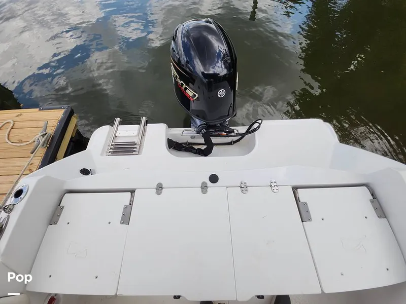 Slide: The Image of Stingray 173 CC 2025 - 16516160