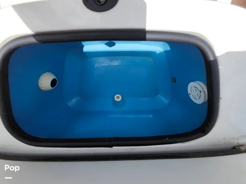 Slide: The Image of Stingray 173 CC 2025 - 16516170