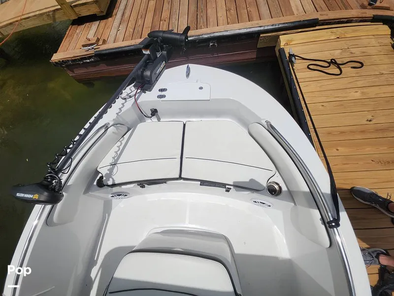 Slide: The Image of Stingray 173 CC 2025 - 16516144