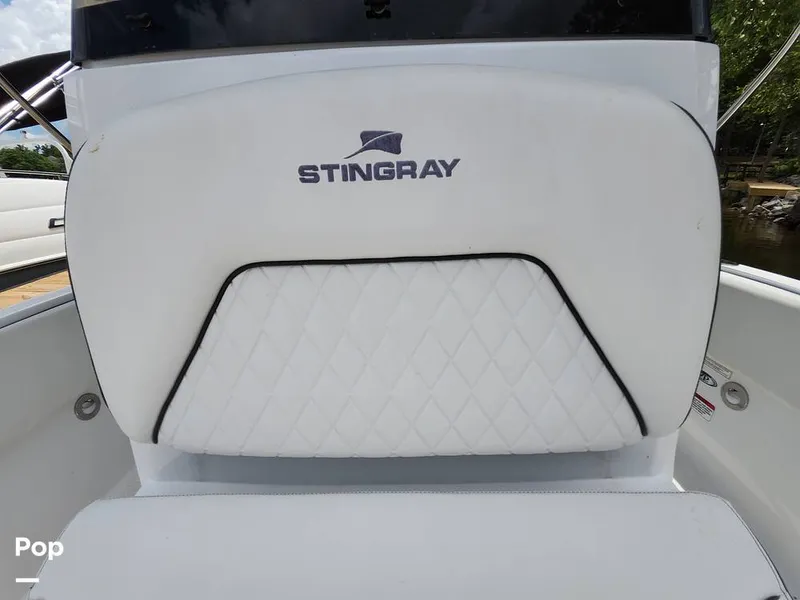 Slide: The Image of Stingray 173 CC 2025 - 16516171
