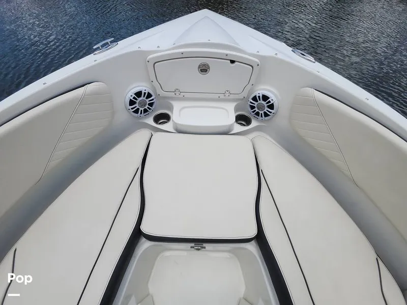 Slide: The Image of Stingray 23 OSX 2024 - 16516504